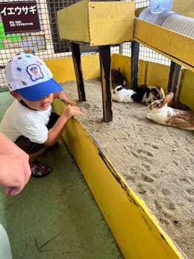 那須サファリパークに投稿された画像（2022/8/11）