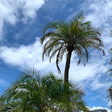 サンシャイン水族館に投稿された画像（2022/8/11）