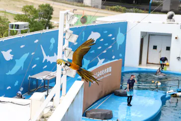 仙台うみの杜水族館に投稿された画像（2022/8/11）