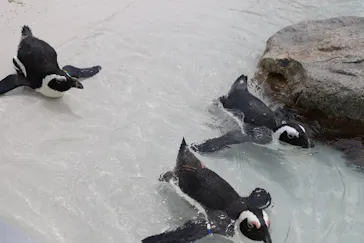 仙台うみの杜水族館に投稿された画像（2022/8/11）