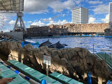 名古屋港水族館に投稿された画像（2022/8/11）