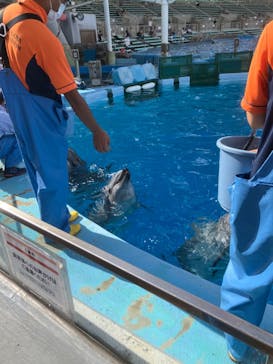 名古屋港水族館に投稿された画像（2022/8/11）