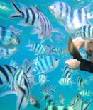 沖縄マリンサービス碧に投稿された画像（2022/8/11）