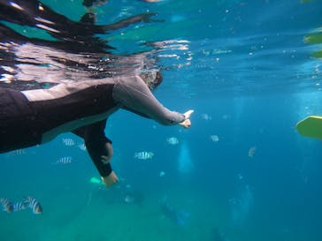 沖縄マリンサービス碧に投稿された画像（2022/8/11）