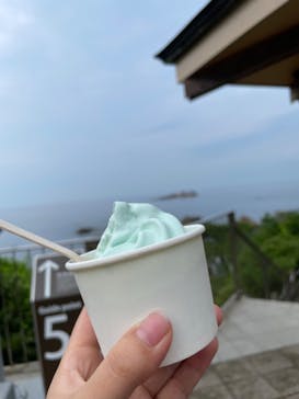 城崎マリンワールドに投稿された画像（2022/8/11）