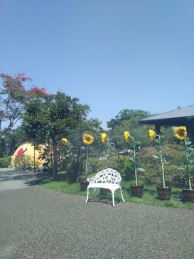 大江戸温泉物語 浦安万華郷に投稿された画像（2022/8/11）