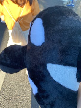 名古屋港水族館に投稿された画像（2022/8/11）