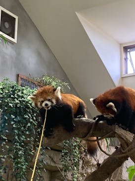 那須どうぶつ王国に投稿された画像（2022/8/11）