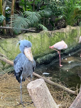 那須どうぶつ王国に投稿された画像（2022/8/11）