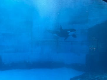 名古屋港水族館に投稿された画像（2022/8/11）