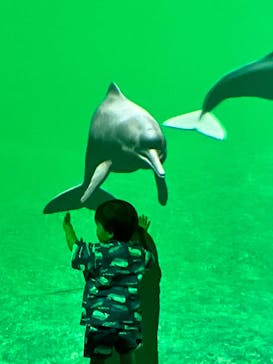 カワスイ 川崎⽔族館に投稿された画像（2022/8/11）