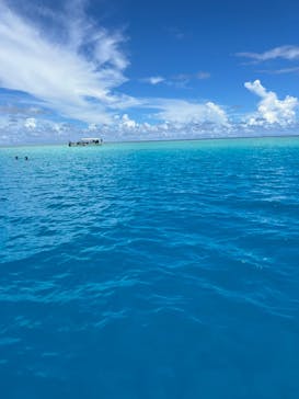 EARTH-LENS（アースレンズ）に投稿された画像（2022/8/11）