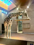 天王寺動物園に投稿された画像（2022/8/11）