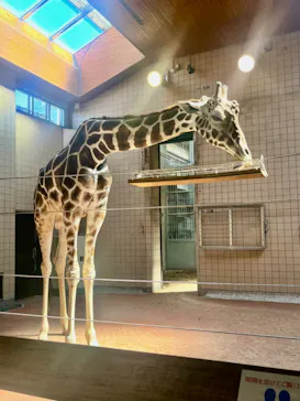 天王寺動物園に投稿された画像（2022/8/11）