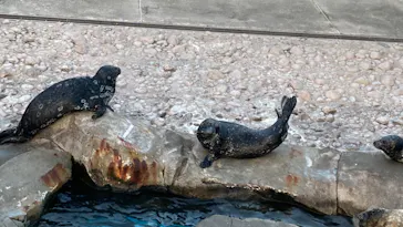 横浜・八景島シーパラダイスに投稿された画像（2022/8/11）