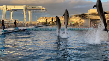 横浜・八景島シーパラダイスに投稿された画像（2022/8/11）