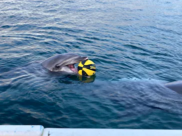 横浜・八景島シーパラダイスに投稿された画像（2022/8/11）