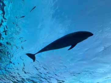 横浜・八景島シーパラダイスに投稿された画像（2022/8/11）