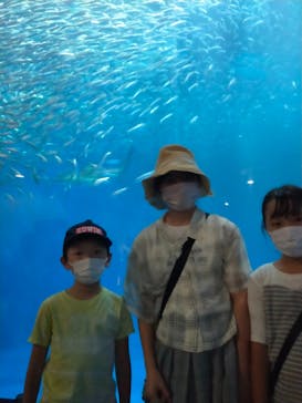 名古屋港水族館に投稿された画像（2022/8/11）
