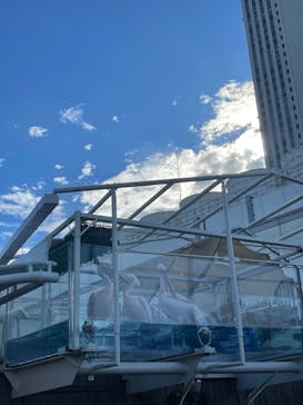 サンシャイン水族館に投稿された画像（2022/8/11）