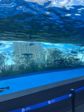 サンシャイン水族館に投稿された画像（2022/8/11）
