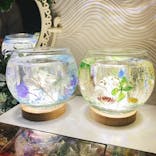 ずこうしつ〜sugamo〜に投稿された画像（2022/8/11）