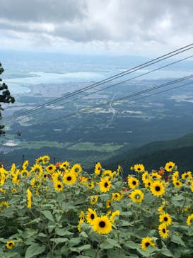びわ湖バレイに投稿された画像（2022/8/11）