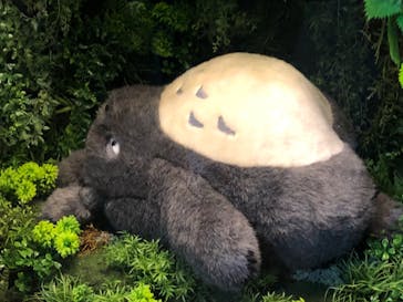 伊豆テディベア・ミュージアムに投稿された画像（2022/8/11）