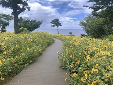 ニューヨークランプミュージアム＆フラワーガーデンに投稿された画像（2022/8/11）