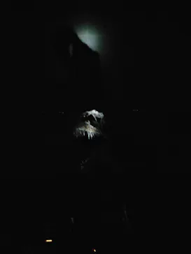 ひらかたパークに投稿された画像（2022/8/11）
