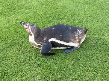 南知多ビーチランド＆南知多おもちゃ王国に投稿された画像（2022/8/11）