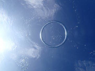 marine assist DEMI（マリンアシストデミ）に投稿された画像（2022/8/11）