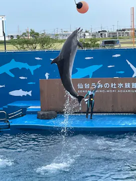 仙台うみの杜水族館に投稿された画像（2022/8/11）
