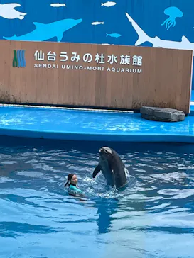 仙台うみの杜水族館に投稿された画像（2022/8/11）