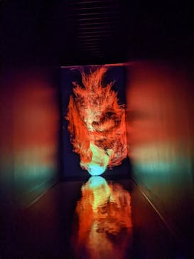 チームラボプラネッツ TOKYO DMMに投稿された画像（2022/8/11）