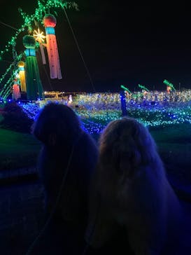 せんだい農業園芸センター　みどりの杜に投稿された画像（2022/8/11）