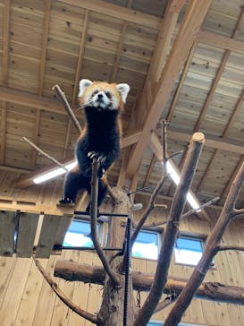 伊豆シャボテン動物公園に投稿された画像（2022/8/11）