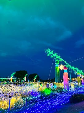 せんだい農業園芸センター　みどりの杜に投稿された画像（2022/8/11）