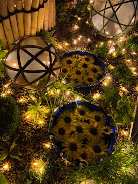 せんだい農業園芸センター　みどりの杜に投稿された画像（2022/8/11）