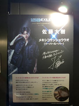 サンシャイン水族館に投稿された画像（2022/8/11）