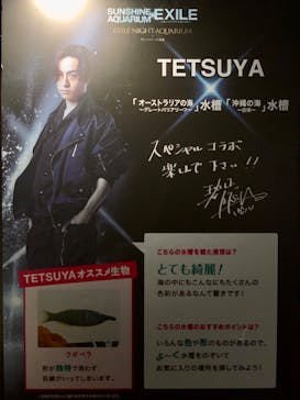 サンシャイン水族館に投稿された画像（2022/8/11）