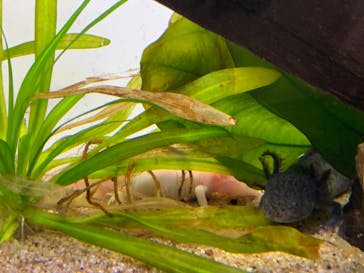 サンシャイン水族館に投稿された画像（2022/8/11）