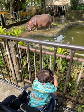沖縄こどもの国に投稿された画像（2022/8/11）