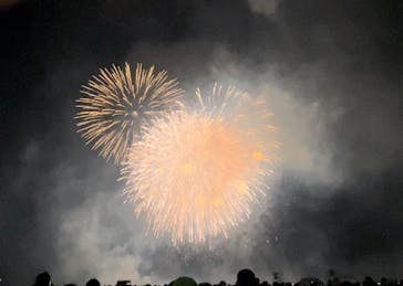 ポルトヨーロッパに投稿された画像（2022/8/11）