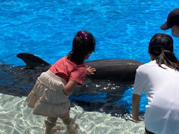 南知多ビーチランド＆南知多おもちゃ王国に投稿された画像（2022/8/11）