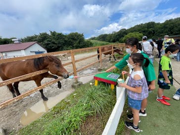 那須どうぶつ王国に投稿された画像（2022/8/11）