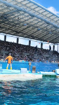名古屋港水族館に投稿された画像（2022/8/11）
