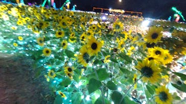 せんだい農業園芸センター　みどりの杜に投稿された画像（2022/8/11）