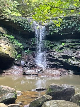 西表島 ADVENTURE PiPi（アドベンチャーピピ）に投稿された画像（2022/8/11）