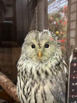 富士花鳥園に投稿された画像（2022/8/11）